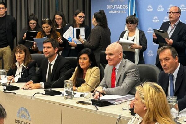 Diputados avanzó en un proyecto para reformar el régimen penal juvenil