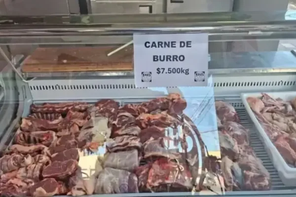 carne de burro