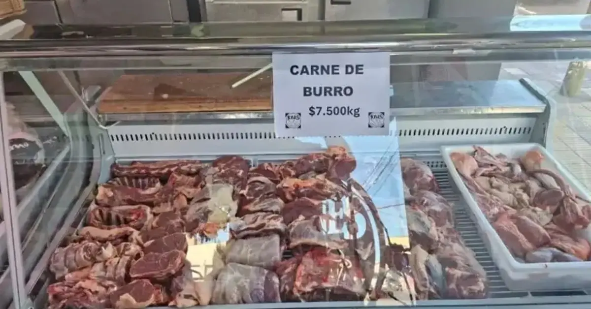 carne de burro